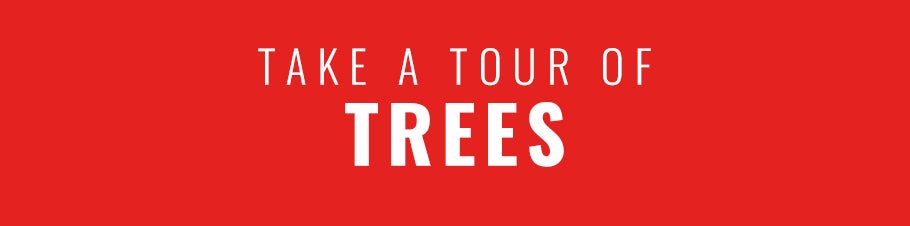 Button-Tours-Trees.jpg